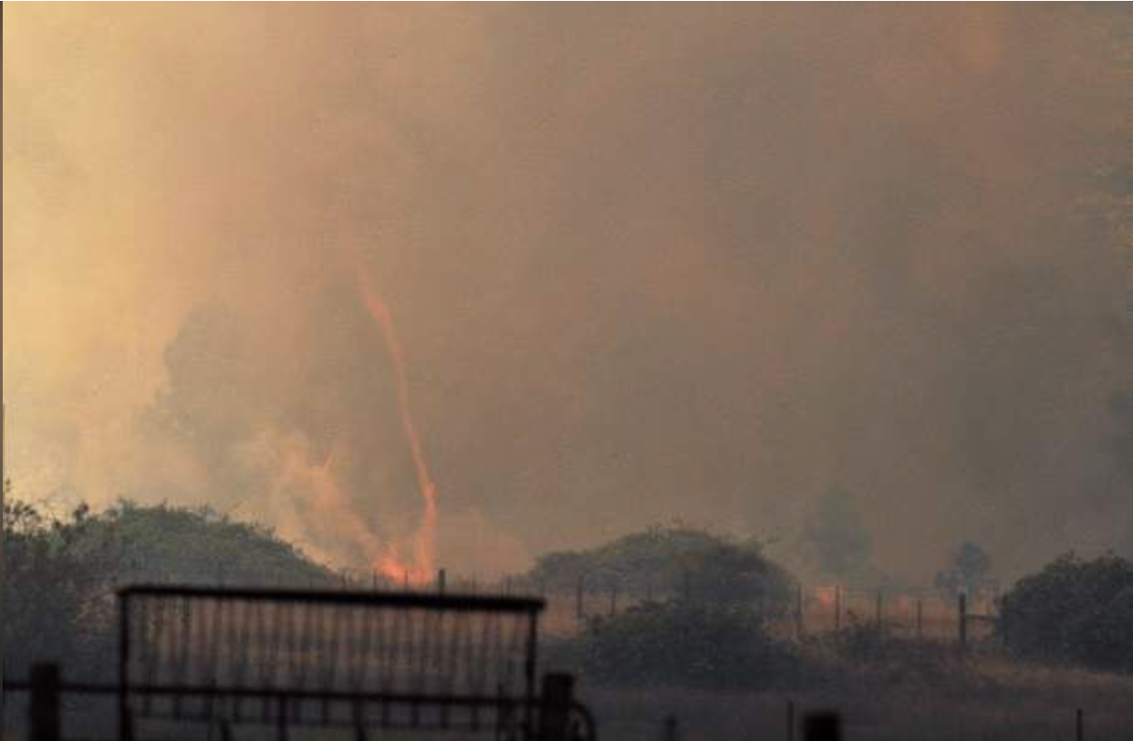 Why Firewise?